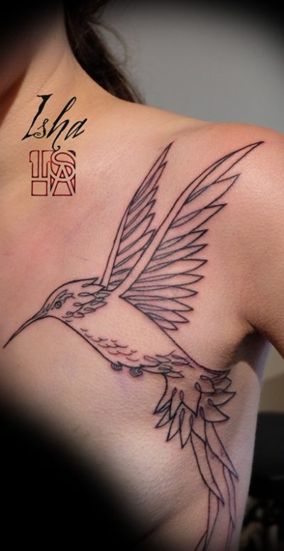 isha-daw-tattoo-tatouage-colibri-graphique-trait-Loches
